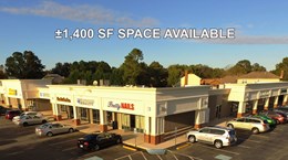 Woodtide Main Cropped