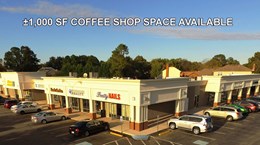 Woodtide Main Cropped